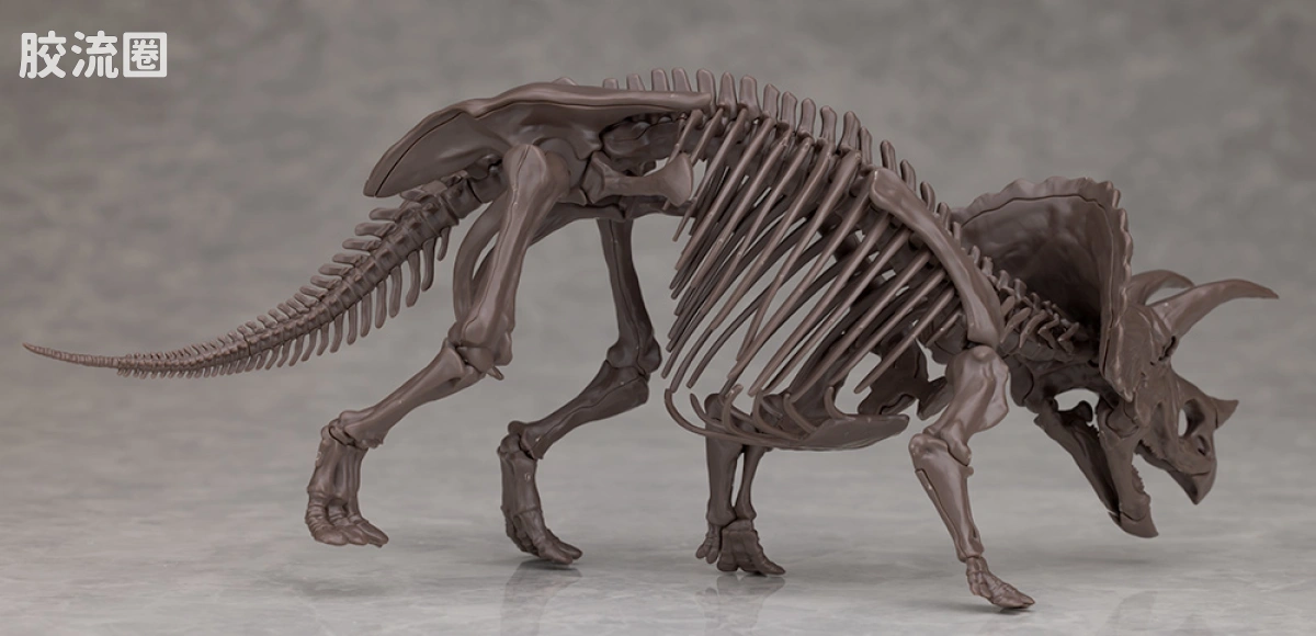 万代综合拼装模型系列 Imaginary Skeleton系列 三角龙 - 图片
